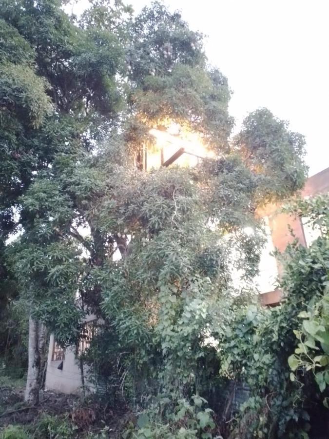 فندق La Casita Del Arbol Guaduas Cundi. المظهر الخارجي الصورة