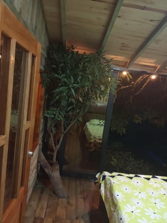 فندق La Casita Del Arbol Guaduas Cundi. المظهر الخارجي الصورة