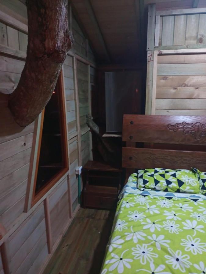 فندق La Casita Del Arbol Guaduas Cundi. المظهر الخارجي الصورة