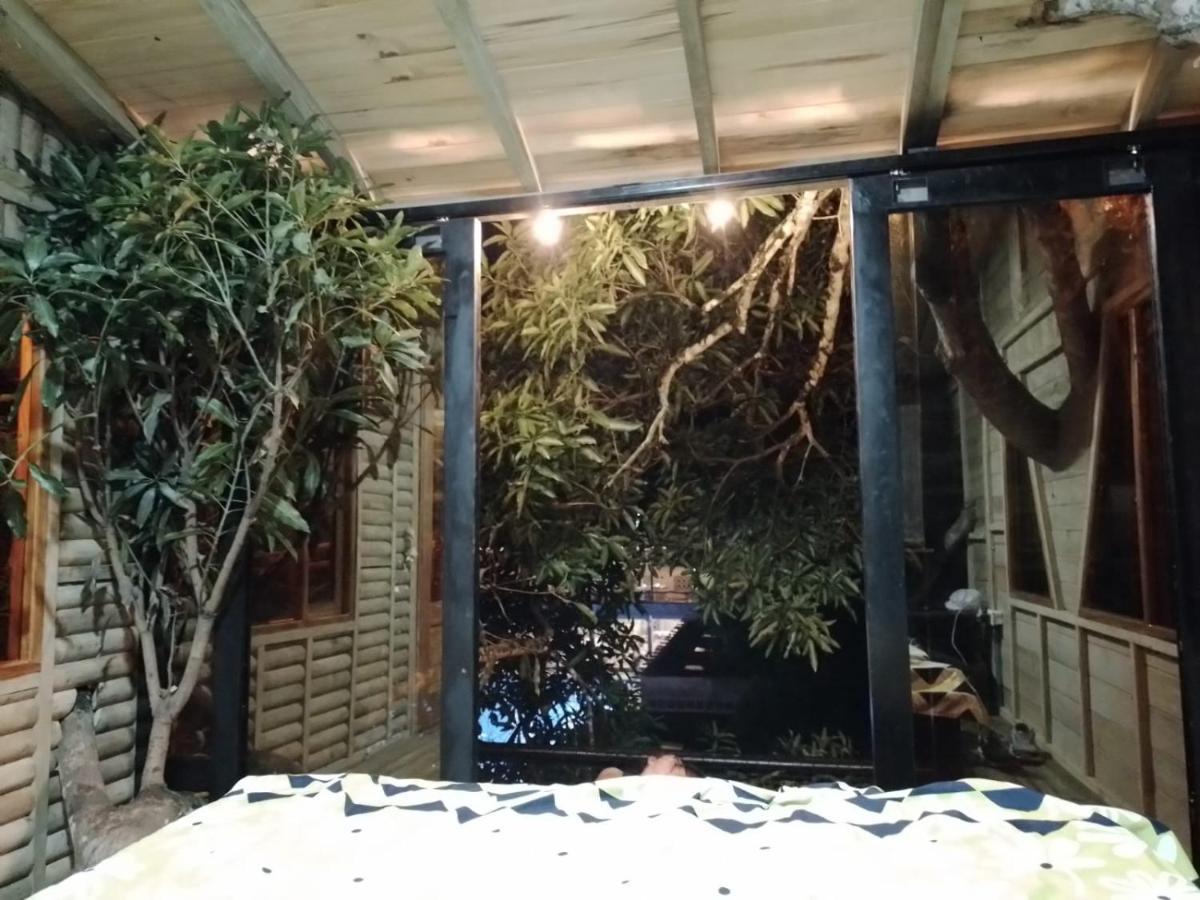 فندق La Casita Del Arbol Guaduas Cundi. المظهر الخارجي الصورة