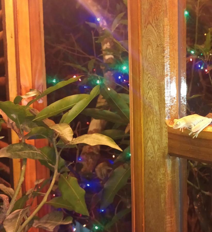 فندق La Casita Del Arbol Guaduas Cundi. المظهر الخارجي الصورة